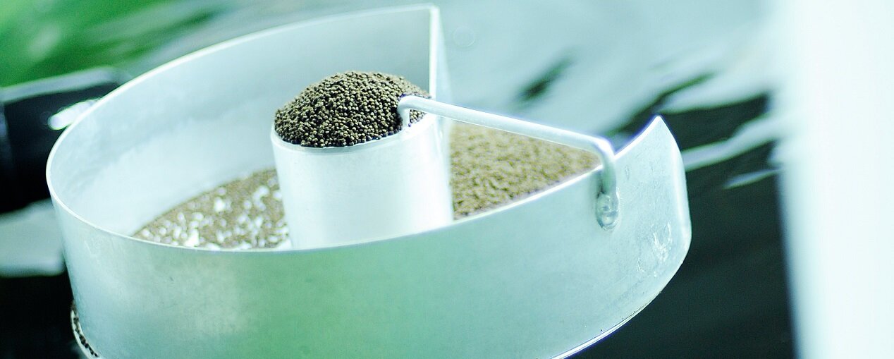 Nourriture du saumon