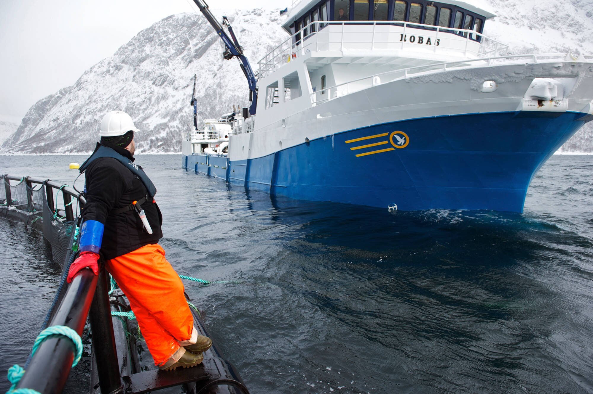 Un bateau s'approche d'un bassin d'elevage. La plupart des émissions de CO2 sont liées à la production de la nourriture pour poisson.