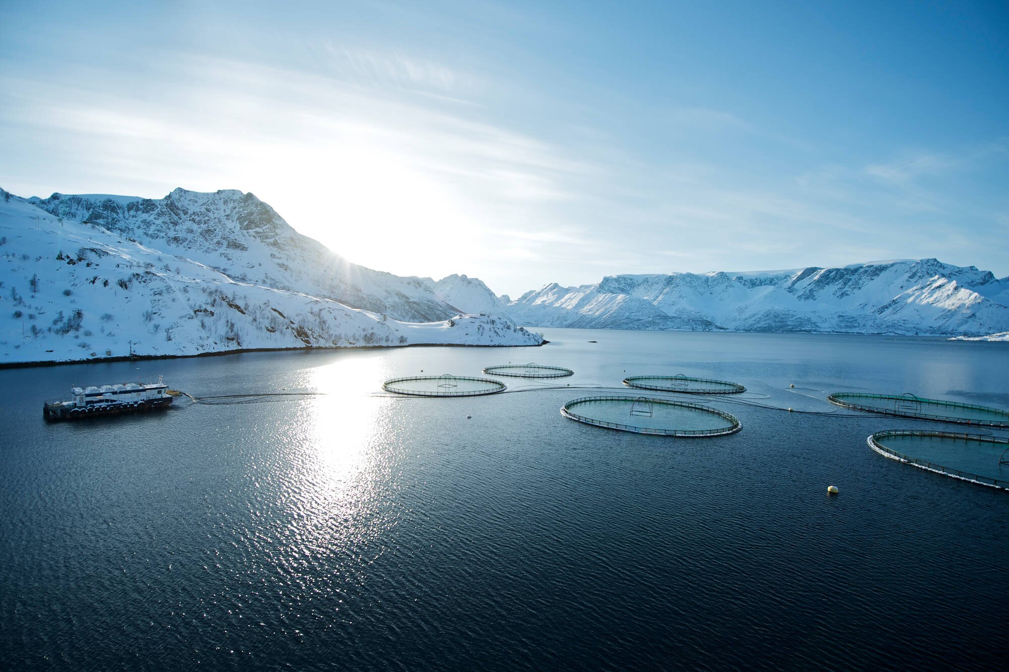 Des bassins aquacoles dans leur milieu naturel de fjords et montagnes.